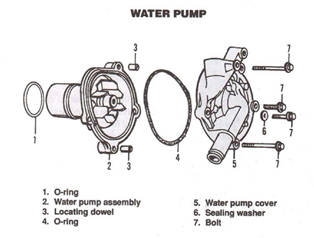 AutoTec in San Jose works on water pumps and helps to diagnose when a water pump is about to go out in a car